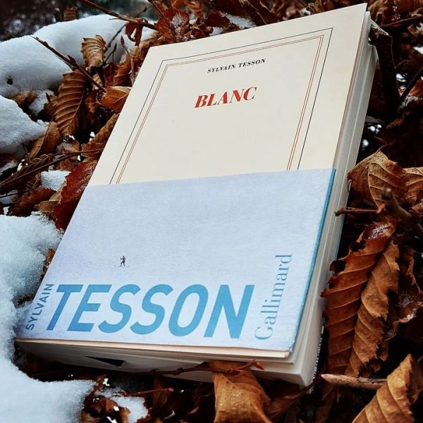 &laquo;&nbsp;Blanc&nbsp;&raquo; de Sylvain&nbsp;Tesson